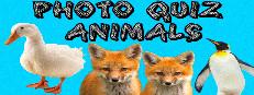 Photo Quiz - Animals Logo