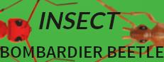 Insect: Bombardier beetle Logo