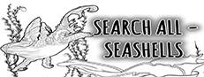 SEARCH ALL - SEASHELLS Logo