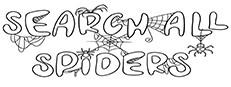 SEARCH ALL - SPIDERS Logo