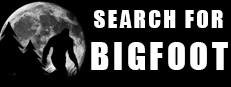 Search 4 Bigfoot Logo