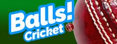 Balls! Virtual Reality Cricket Logo