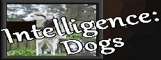 Intelligence: Dogs Logo
