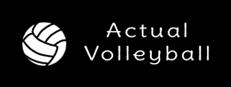 Actual Volleyball Logo
